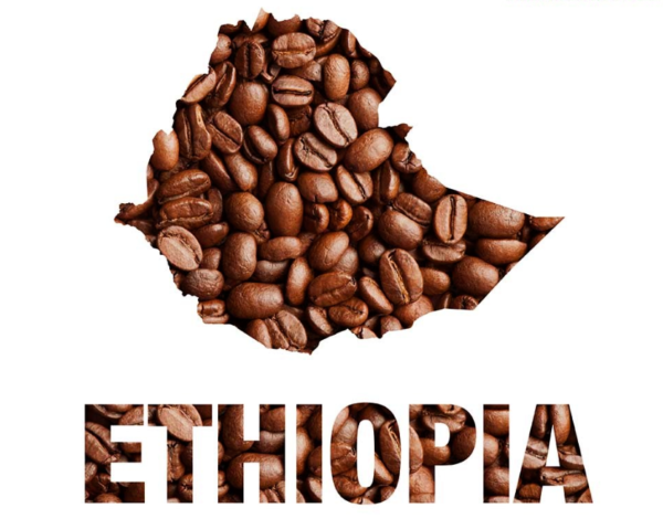 Ethiopie Moka Sidamo
